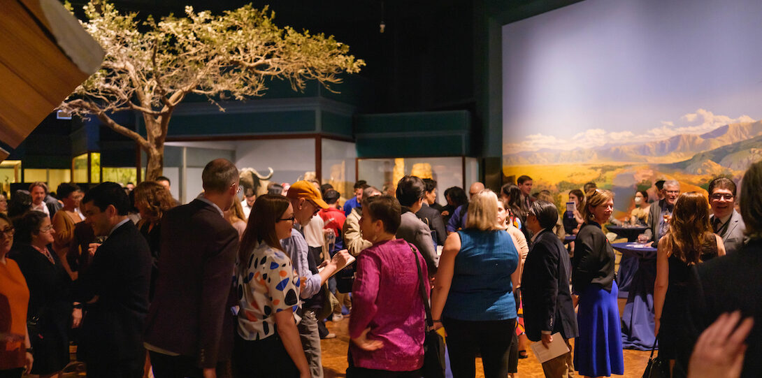 People socialize beneath an artificial tree in an exhibit at Chicago's Field Museum of Natural History.