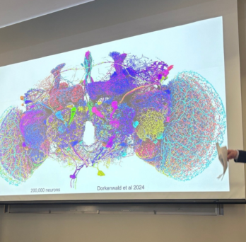 Two men stand in front of colorful circuit diagram of a brain.
                  